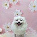 깡아지미용실 이미지