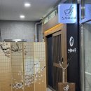 서정리역 | 평택 서정리역 오마카세 | 스시하이쿠 디너 후기