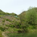 어사농장 이미지