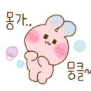 세종의 아침 태권도 이미지