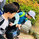 W태권도 이미지