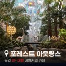 🌿 [용인카페] 숲속 식물원 감성 폭발! 인생샷 제조...대형 베이커리 '포레스트 아웃팅스' 솔직 후기 ☕🥐✨
