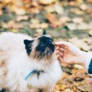 방주동물병원 이미지