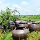 아침농장순창 이미지