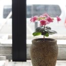 삼한엠