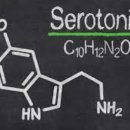 샾 피티 이미지