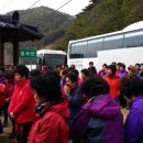 하빈농업협동조합 이미지