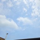 들벗 | [파주 카페] 내 인생 최고 커피 맛집! 파평면 카페 빈센트