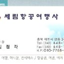 세림항공여행사