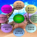 Re:성조숙증 판정을 받고 너무 괴로워요- 경험맘들의 소중한 조언 기다릴게요 이미지