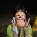 얌하일상