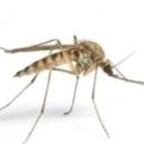 이촌약국 이미지