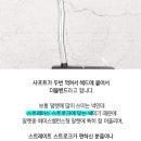 엠페라 Daum카페