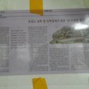 보옥민박 이미지