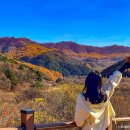 원남로-11 이미지