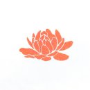 아마존 꽃 식물원 네이버블로그