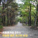 남부터미널역 계단 횡단보도(5번출구 뒤) | 서울둘레길 3코스 불암산코스 정보 난이도 준비물