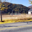 용문가든 이미지