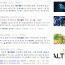 아이엘티 이미지