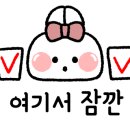 덴트닥터 이미지