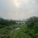테라커피분당