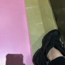 남뽕애견샵 이미지