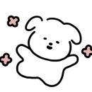 빛나리운동화세탁소 이미지