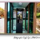 산새공원 입구 | 치악산 구룡사 단풍 명소｜강원도 원주 가볼 만한 곳 가을 여행 명소, 붉은 단풍이 환상적인 가을여행 후기