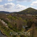 도란도란 이미지