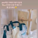 쏨스토리