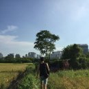 논밭 이미지