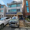 테이큰커피앤드노크 | 분당 고양이카페 앤드커피 19개월 아기랑 다녀온 후기