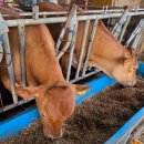 함평천지한우 명품관 이미지