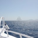 1박2일유람선연계코스 이미지