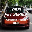 강남랩핑 테슬라 랩핑 OBEL CHERRY PEAR RED 체리 페어 레드 후기