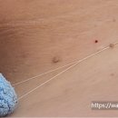 코코마쥬 실면도대전본점