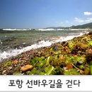 8월29일 포항 선바우길 트레킹 산행 예약명단 이미지