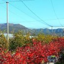 아름다운삶 이미지