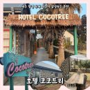 청두곶9길 7-5 | 제주 함경 독채 자쿠지 감성숙소 추천 : 호텔 코코트리 블루코코 후기