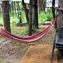 공현진1리해변 이미지