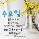 10월23일 수요일 경/인방 출부 왔어요~^^ 이미지