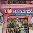 뉴월드약국 | 🇻🇳 내돈내산 14박 15일 다낭 &amp; 호이안 완전 정복! (총정리)