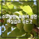 매실 이미지