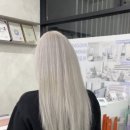 아이엠미헤어 대전둔산점