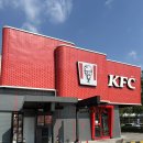 그린스파이시 | [방콕 여행] 태국 KFC에만 있다 '그린커리 & 스파이시 치킨 라이스' 후기
