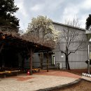 성산 꿈 작은도서관 | [제주] 동쪽 책과의 문학여행 성산일출도서관