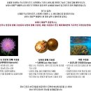 메리케이 커스터마이즈드 마스크 1번 / 메리케이 수분마스크 / 메리케이 민감양