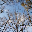 비봉산 음수대 이미지