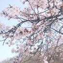 여주대학부속유치원