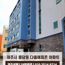 다올해피존